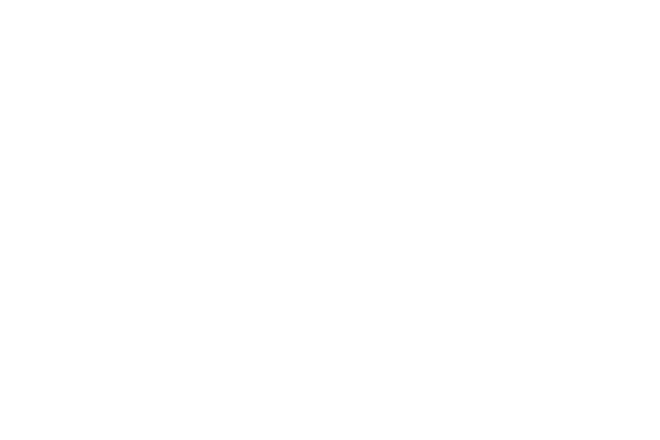 HOW WE BROUGHT A SQUIRE INTO THE REAL WORLD
